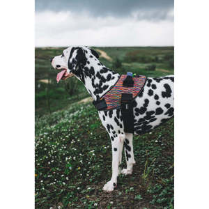 มือจับกีฬา Flyharness Vortex สำหรับสุนัขที่ใช้งานอยู่ - Product Image 2