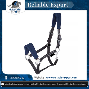 Mejores ventas calidad genuina acolchado carreras de caballos PP Halter calidad equipo - Product Image 6