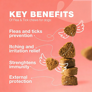 OEM/ODM Elimina <span class=keywords><strong>Pulgas</strong></span>, Garrapatas y Mosquitos en Perros, Gatos y <span class=keywords><strong>Conejos</strong></span> con Golosinas Blandas 100% a Base de Plantas - Product Image 3