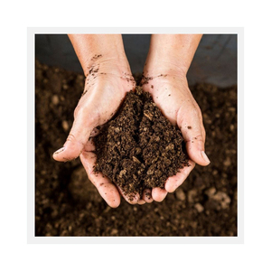 Turba en oferta a precio reducido para uso agrícola y hortícola - Product Image 2