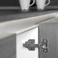 Emuca Juego de 20 Bisagras para Muebles de Acero Recto Niquelado Modelo 1125407 con Accesorios Atornillables España