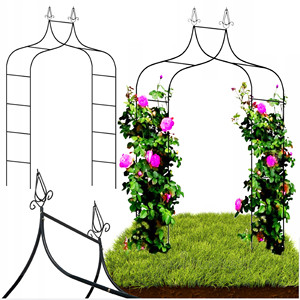 Arco de Jardín Metálico de 240 cm para Rosas, Flores y Ramas para Uso en Plantas - Product Image 1