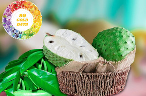 Hojas de Guanábana de calidad exportada, cultivadas orgánicamente, secadas cuidadosamente, la mejor tarifa del proveedor de Vietnam - Product Image 2