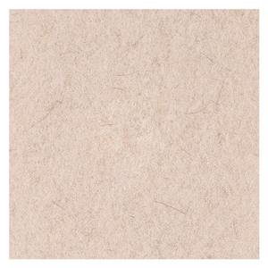 Discos de Pulido para Pisos Boardwalk de 21 Pulgadas, Color Bronceado, 5 por Caja, Accesorios para Pisos de Pelo de Cerdo Natural - Product Image 3