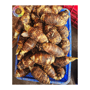 Cubes en dés de taro congelés IQF: Taro congelé IQF en vrac, cubes en dés pour un portionnement facile dans la restauration et le service alimentaire. - Product Image 4