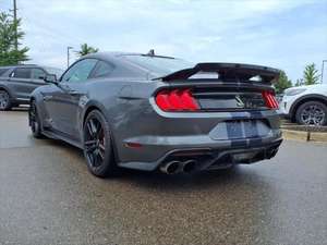 Ford Shelby 2022 - Product Image 2