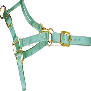 Fancy Lightweight Extra comfort Nylon Webbing Nylon Horse Halter in Many Colors and Custom Sizes Stainless Adjustable Hardware - Product Image 5