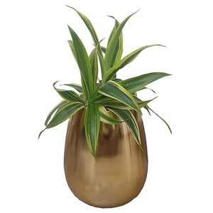 Jardinières décoratives en métal enduit de poudre pour intérieur/extérieur Pots de fleurs écologiques durables et résistants à la rouille pour jardin et maison - Product Image 1