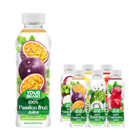 450ml fles natuurlijk fruitsap OEM ODM Private Label drankenfabrikant Vietnam