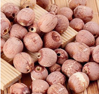 Graines de lotus brunes en gros à bon prix