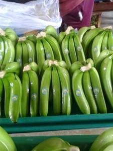 100% <b>Fresh</b> Cavendish <b>Banana</b> - Wholesale for Cavendish <b>Banana</b> / Bocadillo <b>Bananas</b> Export Worldwide - Product Image 5