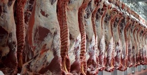Carne de Búfalo Halal Congelada Sin Hueso, Cuerpo Entero con Grasa, Omaso, Patas, Cola, Conservada en Sal, Empaquetado a Granel, Proceso LQF - Product Image 6