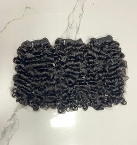 Listo para enviar CABELLO HUMANO RIZADO BIRMÉS SIN PROCESAR CRUDO MÁQUINA DE DOBLE TRAMA - Product Image 1