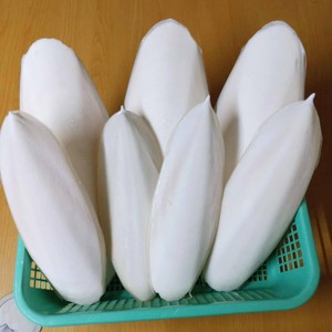Premium Dried Cuttlefish <b>Bone</b> (Squid <b>Bone</b>) Bright White Color-Export Grade Low Moisture 5% Vietnamese Origin for Birds Use - Product Image 6