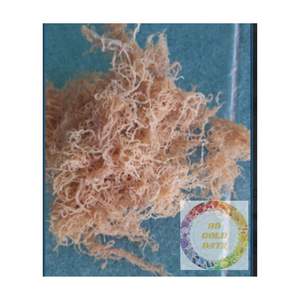 Fournisseur du Vietnam algues séchées Eucheuma Cottonii Vente en gros de haute qualité Meilleur prix Standard Export - Product Image 1