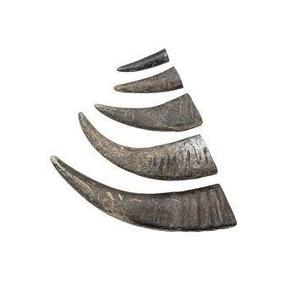 Corne de vache à boire, nouveau Style fait à la main de meilleure qualité, conception de forme personnalisée, corne de buffle à boire - Product Image 3