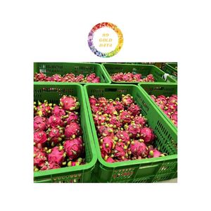 Xuất Khẩu Tiêu Chuẩn Đông Lạnh Thanh Long Trái Cây Màu Đỏ Và Màu Trắng Từ Việt Nam Cung Cấp Số Lượng Lớn Với Giá Cả Phải Chăng Nhà Máy Giá - Product Image 2