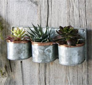 Two galvanized metal <b>planters</b> with shiny, textured surfaces and decorative copper rims at the top curved shape with a slightly - Product Image 6
