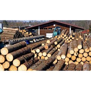 เตาเผาไม้โครงสร้างคุณภาพสูงแห้งแข็งแรงและเหมาะสำหรับโครงการก่อสร้าง - Product Image 6