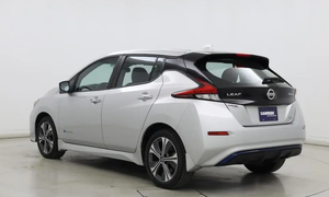 Mejor Oferta 2019 Leaf SV Plus DIY Industrial OEM ODM Personalizado con Soporte y Garantía de 3 Años Origen FR - Product Image 3