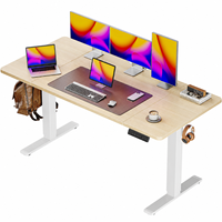Bureau debout électrique grand format 55 x 28, réglable en hauteur, avec plateau de 27,5 pouces de profondeur, table de bureau assis-debout