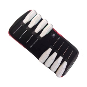 Juego de 8 Elevadores Dentales de Acero Inoxidable con Mango de Plástico para Extracción de Raíces Apicales, Instrumento Dental con Certificación CE - Product Image 2