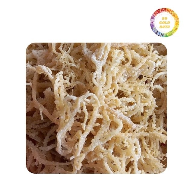 High Quality Organic Eucheuma Cottonii Seaweed Vietnam's Dried Irish Moss Bulk Wholesale Pricing Now Available