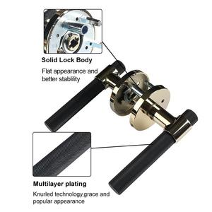 Poignée de porte noire haut de gamme au look chic, parfaite pour la décoration intérieure d'entrée dans les maisons modernes et les utilisations commerciales - Product Image 3