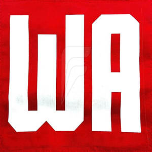 Precio al por mayor profesional Tela de sarga Parches de netball Tamaño personalizado Nueva llegada Parches de netball - Product Image 2