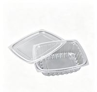Op maat gemaakte transparante voedselveilige PET plastic wegwerpverpakking voor sushi, hamburger, brood, vierkante en rechthoekige fruitverpakkingen