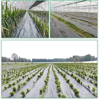 Toile de paillage perforée à trous pré-perforés, résistante aux UV, durée de vie 4-6 ans, découpe sur mesure pour le contrôle des adventices agricoles
