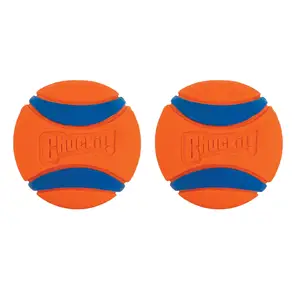buy wholesale Ultra Ball Dog Toy, Medium (2.5 Inch Diameter) Pack of 2 in bulk cheap