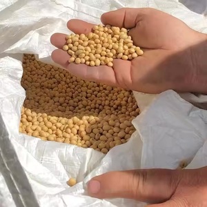 Premium Brazilian Dried <b>Soybeans</b> Grain Quality Seeds 25kg Bulk Pack - Product Image 5