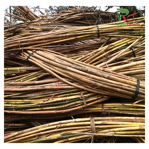 Pôles en rotin naturel de 12 à 30 mm de la marque HNIECO, respectueux de l'environnement, matière première artisanale, mobilier de jardin, fabrication vietnamienne, agriculture - Product Image 5
