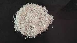 เปลือกหอยขนาดใหญ่แบบธรรมชาติขนาด0.5-1นิ้วเหมาะสำหรับนักออกแบบเครื่องประดับอเมริกันพื้นเมืองสำหรับงานฝีมือ - Product Image 2