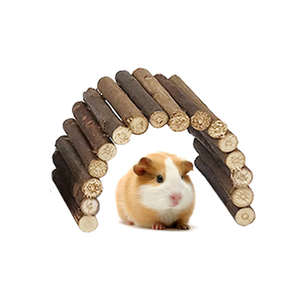 Jouets à mâcher écologiques en TPR pour petits animaux : Hamster, Lapin, Perroquet, Cochon d'Inde – Idéal pour le jeu et la dentition - Product Image 2
