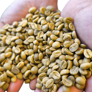 Granos de café Robusta verde directamente de la finca |   Granos de café Robusta verde de proceso natural - Product Image 6