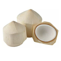 DELICIOSO COCO JOVEN FRESCO/AGUA DULCE Y DE CULTIVO ORGÁNICO/HECHO EN VIETNAM/HAGA CLIC PARA UN DESCUENTO EXCLUSIVO