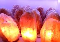 Lampe au sel de l'Himalaya avec gradateur Fait à la main Crystal Rock Light Natural Wellness Decor Pièce décorative du Pakistan