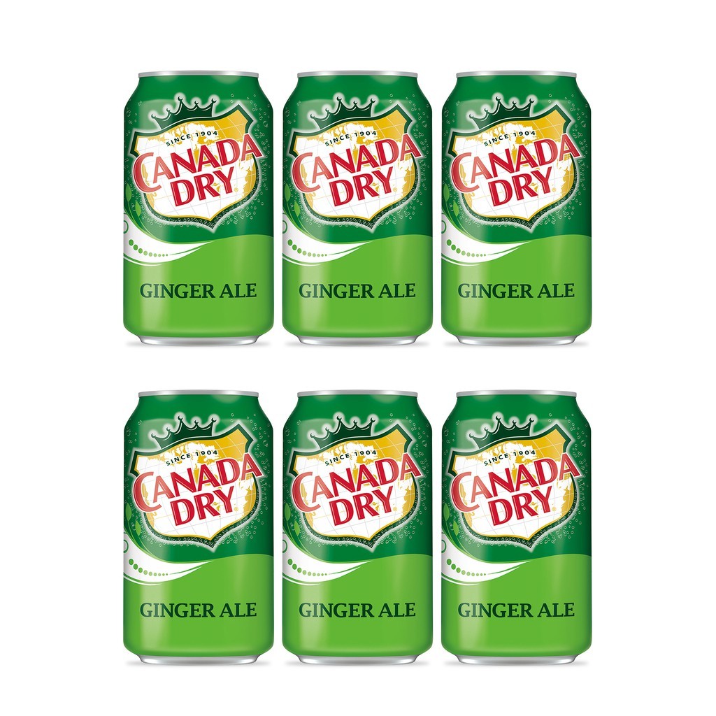 Canada Dry Ginger Ale/Wholesale and best price offer 3