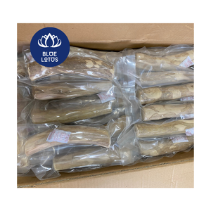 ไม้แท่งเคี้ยวสำหรับสุนัข ทำจากไม้กาแฟธรรมชาติ เป็นมิตรต่อสิ่งแวดล้อม เหมาะสำหรับสุนัขทุกขนาด - Product Image 4