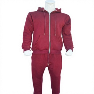 Survêtement à capuche unisexe en molleton d'automne 100% coton biologique, logo personnalisé, OEM ODM, fabricant, fournisseur en gros - Product Image 1