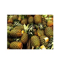 Ananas frais et sucrés de qualité export disponible