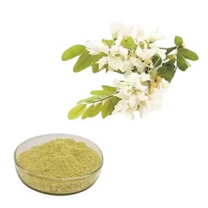 RUTIN NATUREL DE HAUTE QUALITÉ HAUTE QUALITÉ AU VIETNAM! FOURNITURE POUDRE DE LUTÉOLINE PURE - Product Image 5