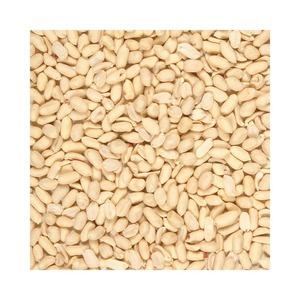 Wholesale Fresh Peeled <b>Peanuts</b> Available In Bulk Packaging With Rich Nutritious Peeled <b>Peanuts</b> Ready For Export - Product Image 2
