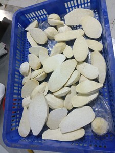 Taro congelado Vietnam alta calidad pelado en cubitos en rodajas proceso IQF a granel precio de fábrica al por mayor - Product Image 5