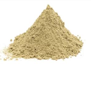 Poudre de chicorée au prix de gros exportateur et fournisseur indiens - Product Image 1