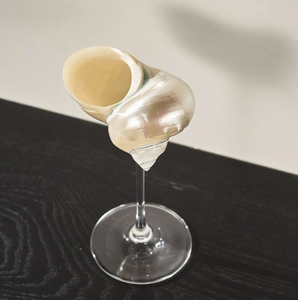 Copa de concha real para restaurantes temáticos marinos y decoración del hogar - Product Image 6