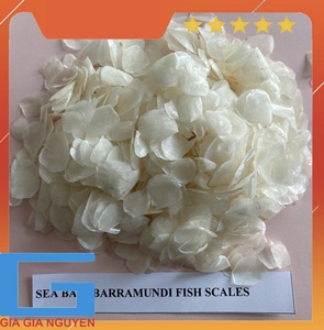 Écailles de poisson séchées de grande taille Tilapia Barramundi pour usage industriel de collagène, écailles de poisson séchées sans calcium, Vietnam - Product Image 6