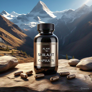 Capsules de poudre de Shilajit de haute qualité suppléments d'acide fulvique séchés au soleil organiques naturels garantie de remboursement suppléments à base de plantes